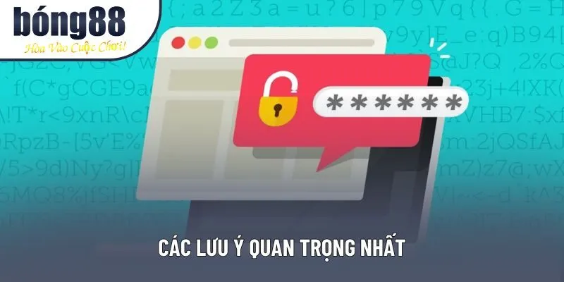 Các lưu ý quan trọng nhất
